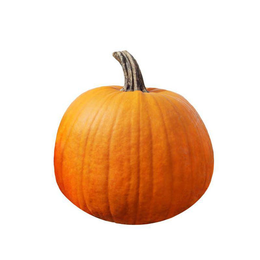 Pumpkin, Heirloom Garden Seed Packets, Jack O' Lantern