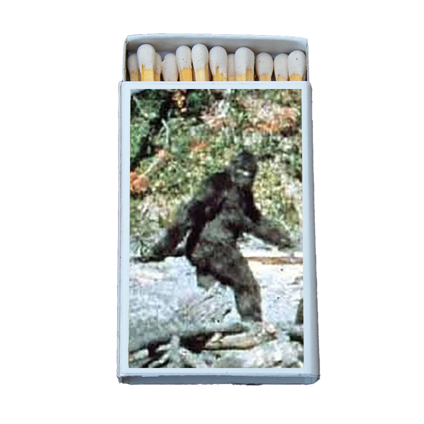 Bigfoot Matchbox, Decorative Matches for Candles + Incense
