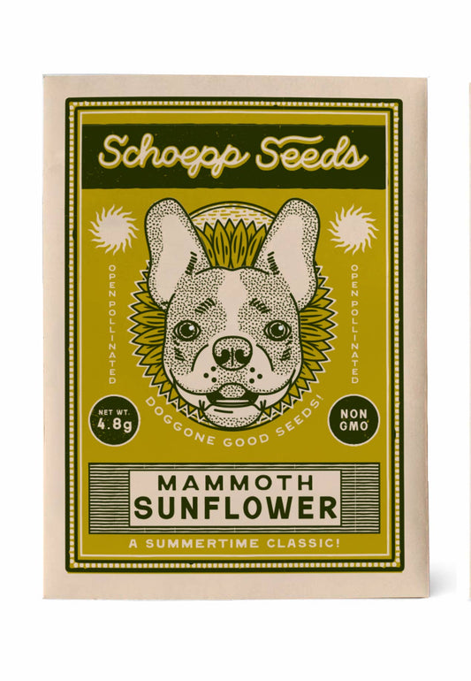 Sunflower, Dog Gone Good Garden Seed Packets, Mammoth