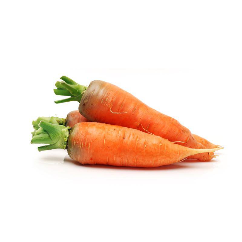 Carrot, Half Long Heirloom Garden Seed Packets, 1870 Variety