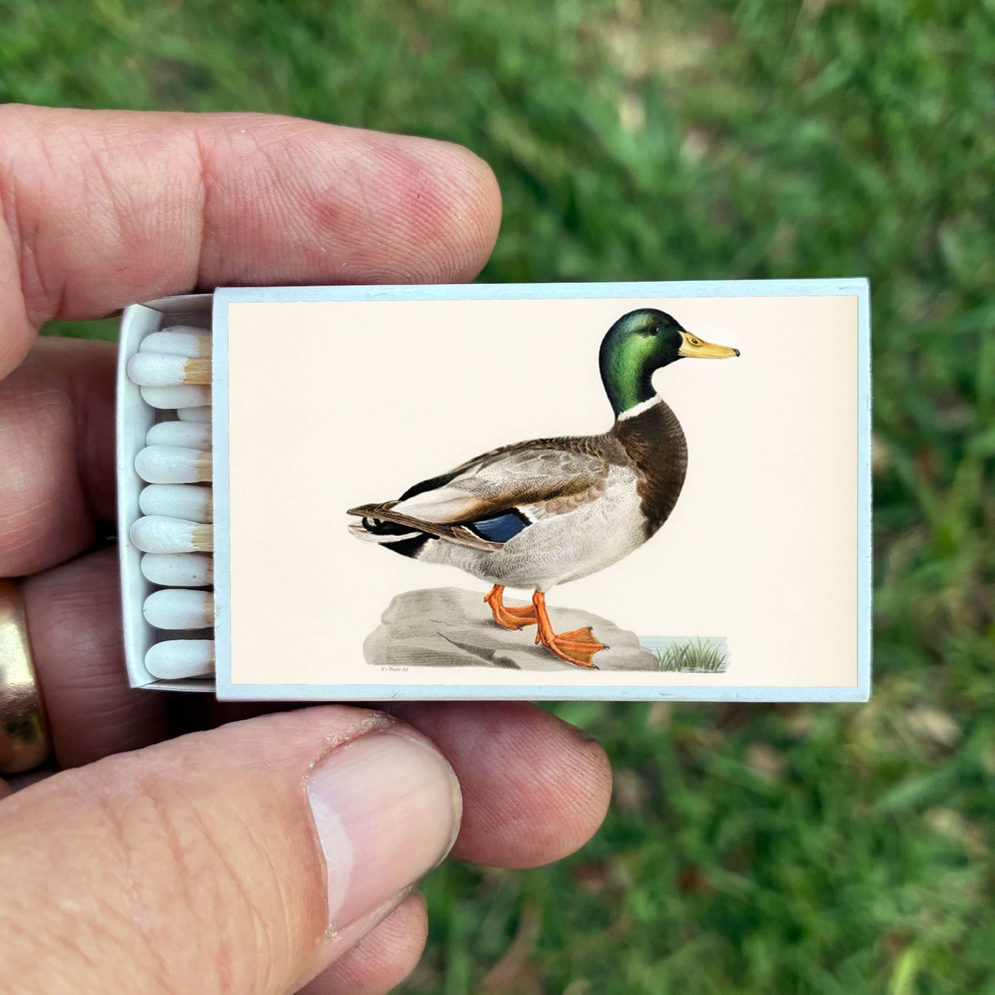 Mallard Duck Matchbox, Decorative Matches for Candles + Incense