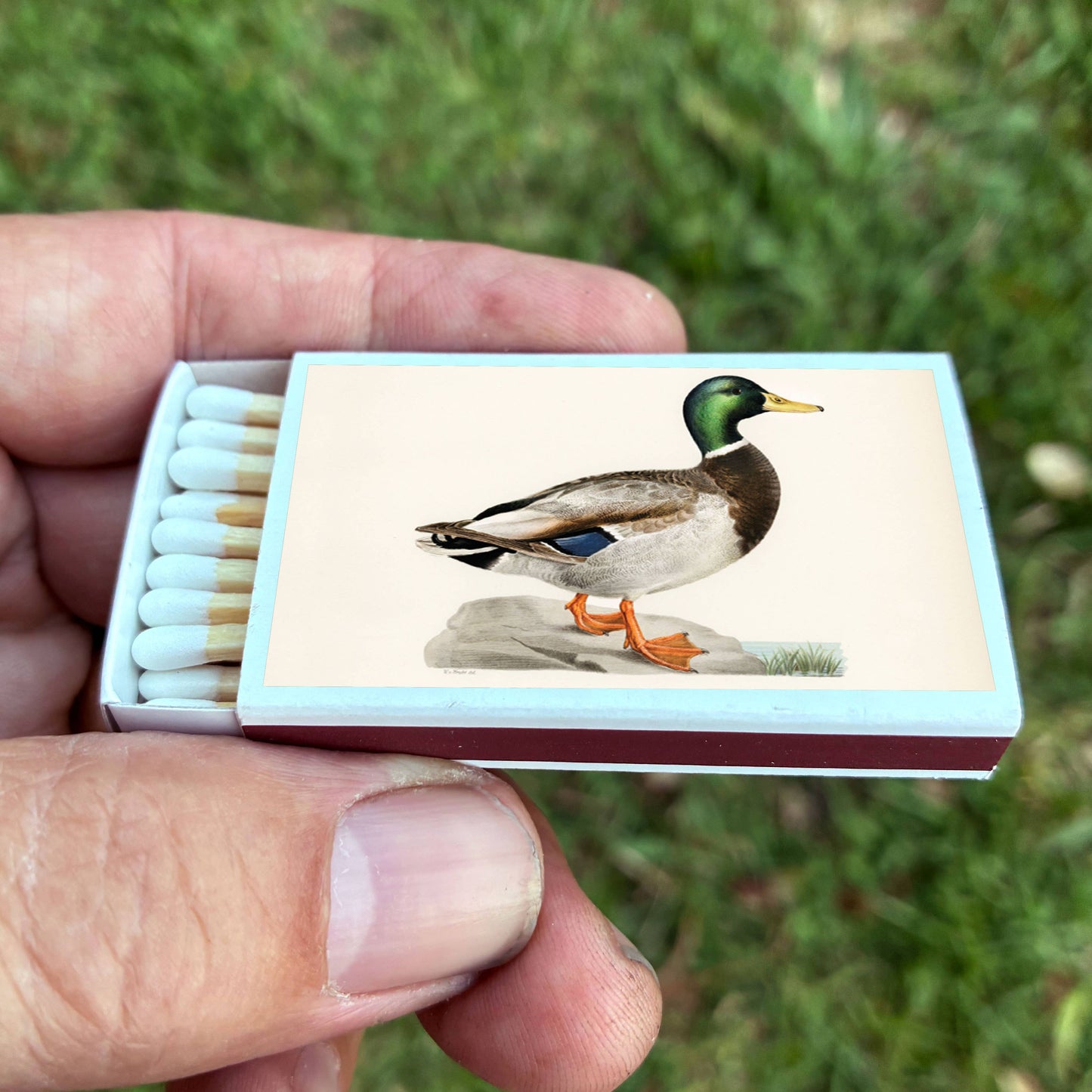 Mallard Duck Matchbox, Decorative Matches for Candles + Incense