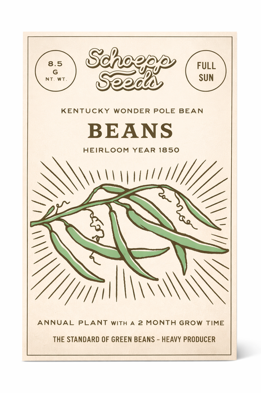 Beans, Kentucky Wonder Pole Bean Heirloom Seed Packets, 1850 Variety