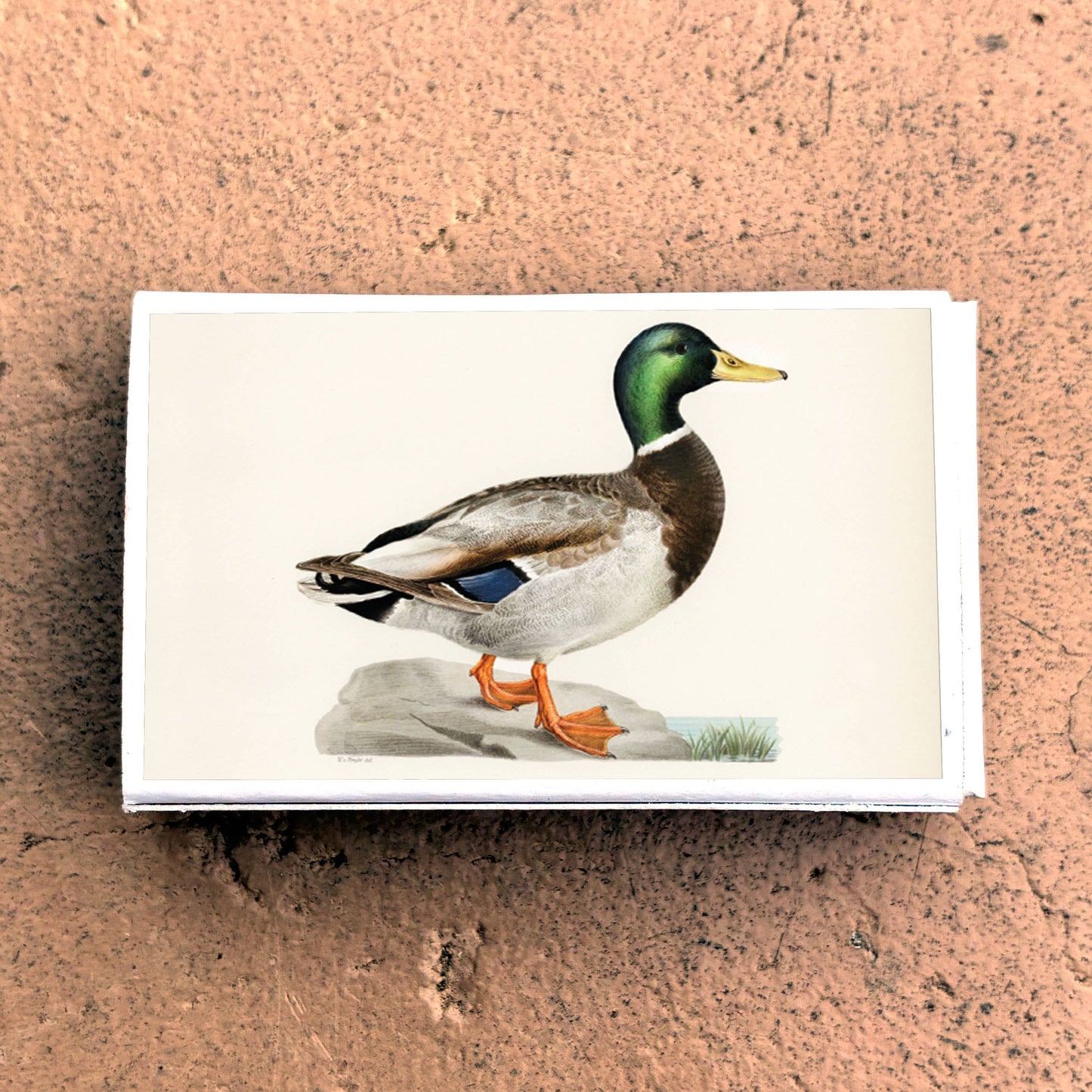 Mallard Duck Matchbox, Decorative Matches for Candles + Incense