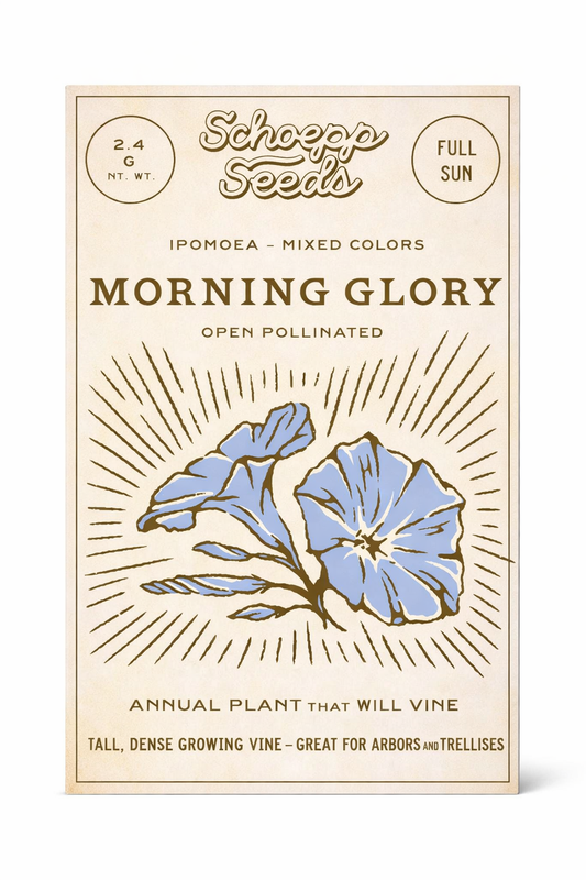 Morning Glory, Heirloom Garden Seed Packets, Climbing Vine