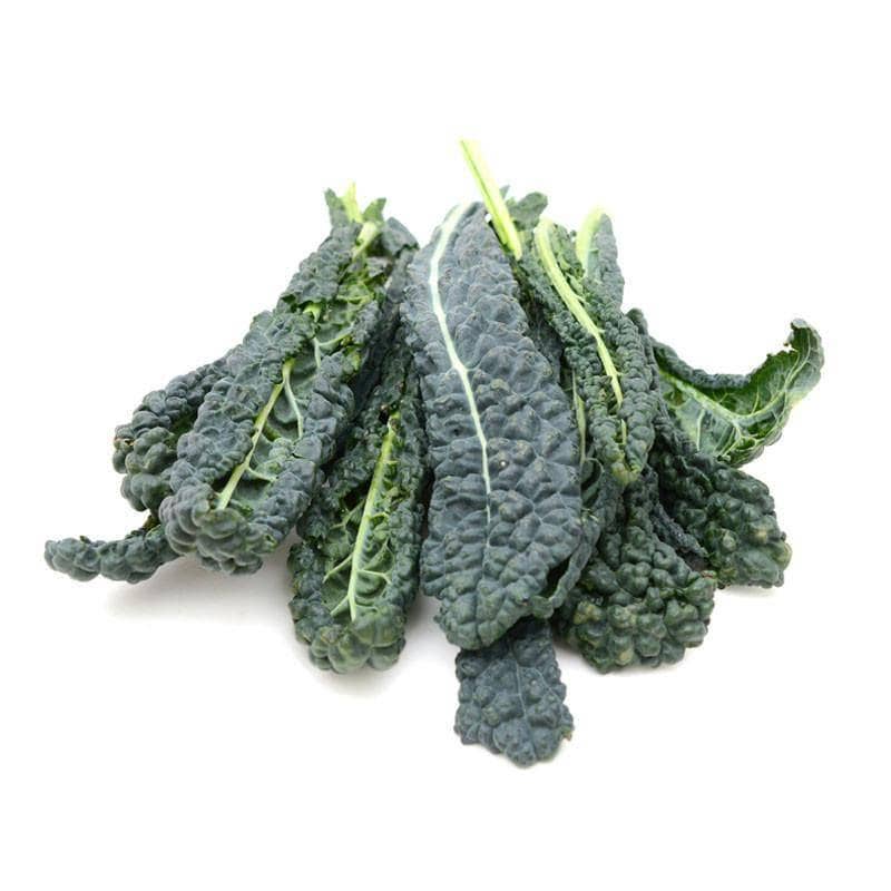 Kale, Lacinato Heirloom Garden Seed Packets, Dinosaur Kale