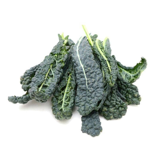 Kale, Lacinato Heirloom Garden Seed Packets, Dinosaur Kale