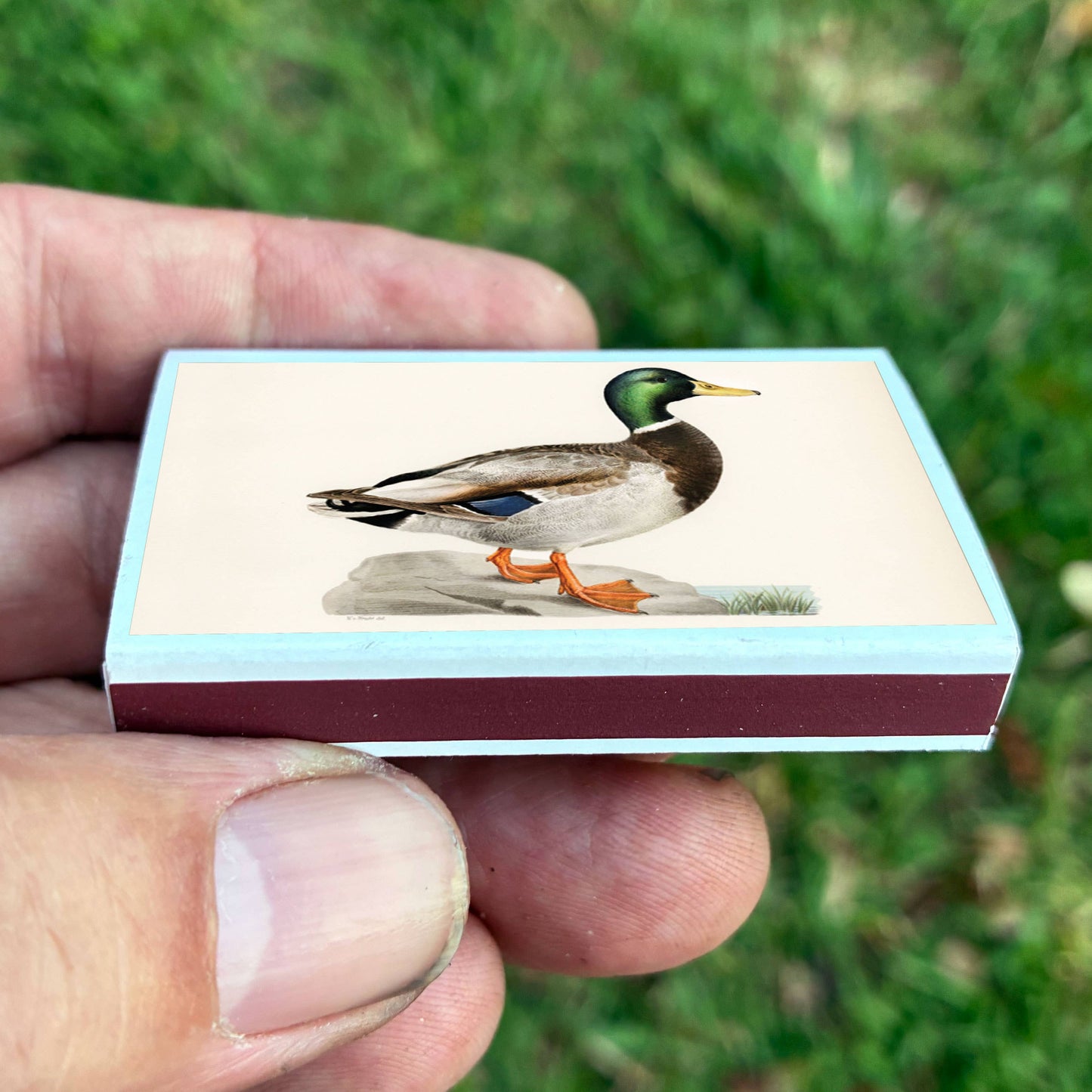 Mallard Duck Matchbox, Decorative Matches for Candles + Incense