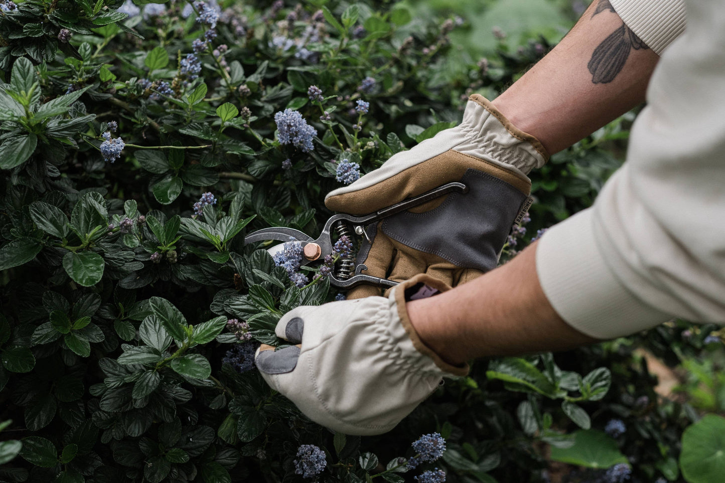 Barebones Leepa Garden Gloves, Vegan Canvas and Suede