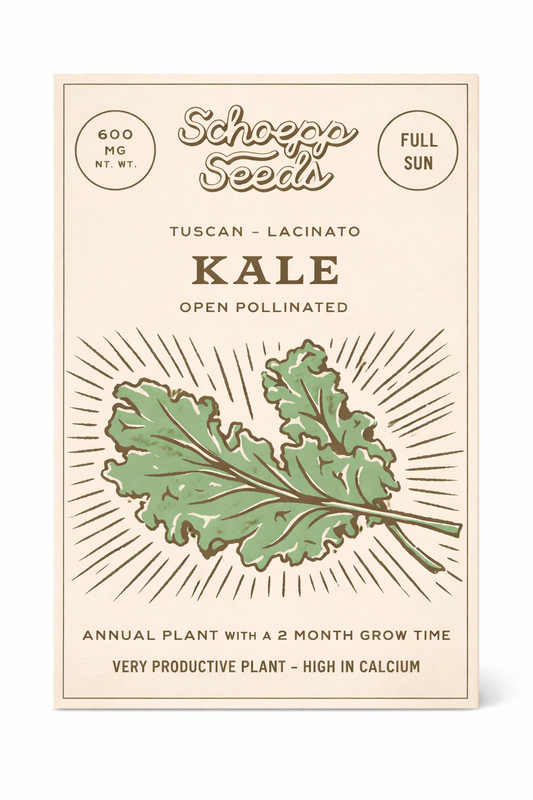 Kale, Lacinato Heirloom Garden Seed Packets, Dinosaur Kale