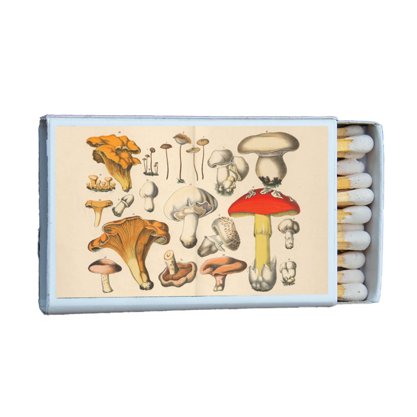 Mushroom Variety Matchbox, Decorative Matches for Candles