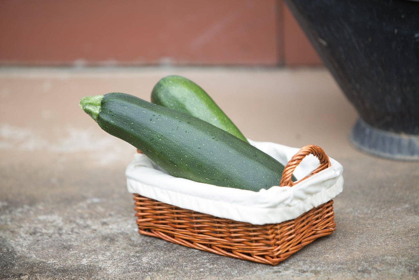 Squash, Zucchini Heirloom Garden Seed Packets, Classic 1957