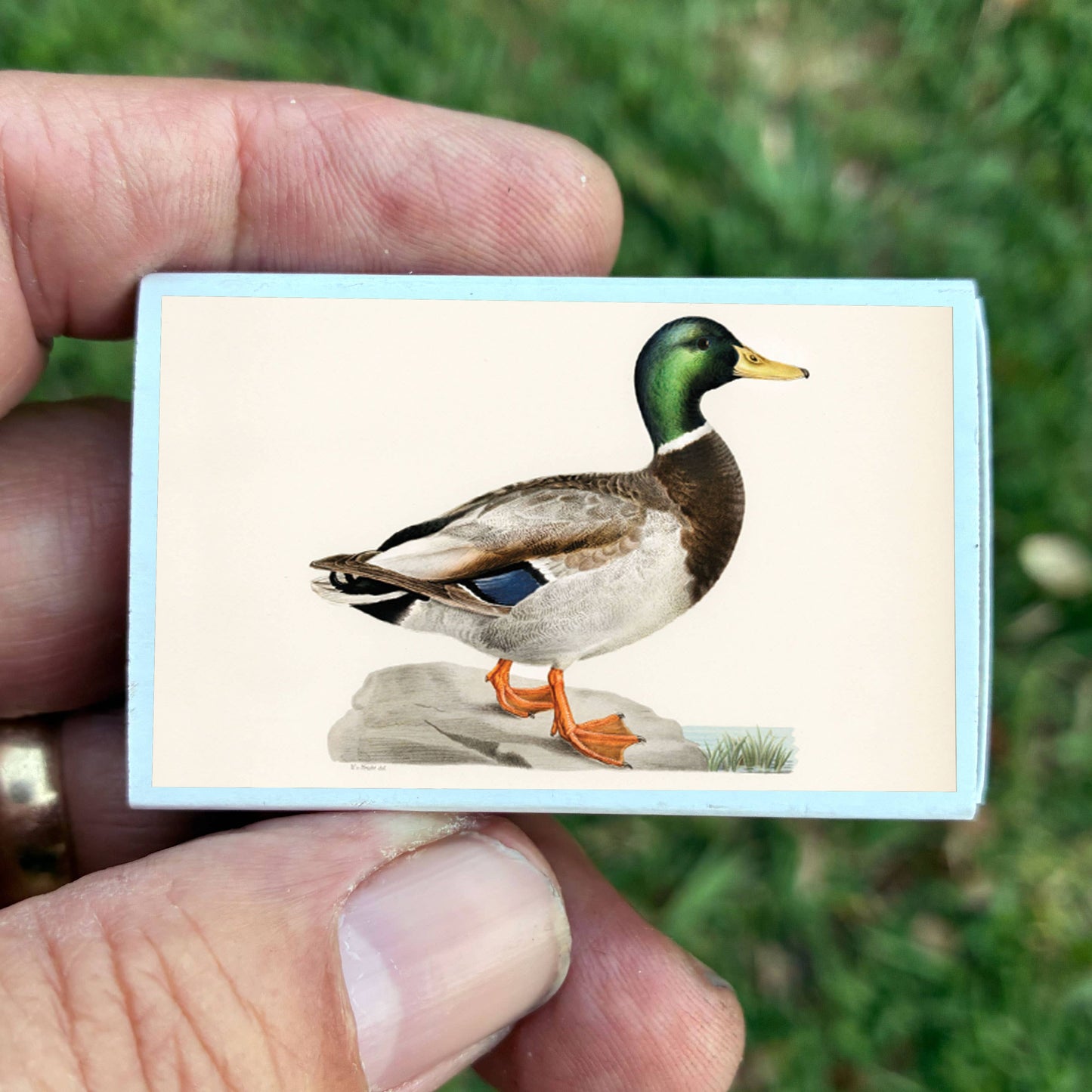Mallard Duck Matchbox, Decorative Matches for Candles + Incense