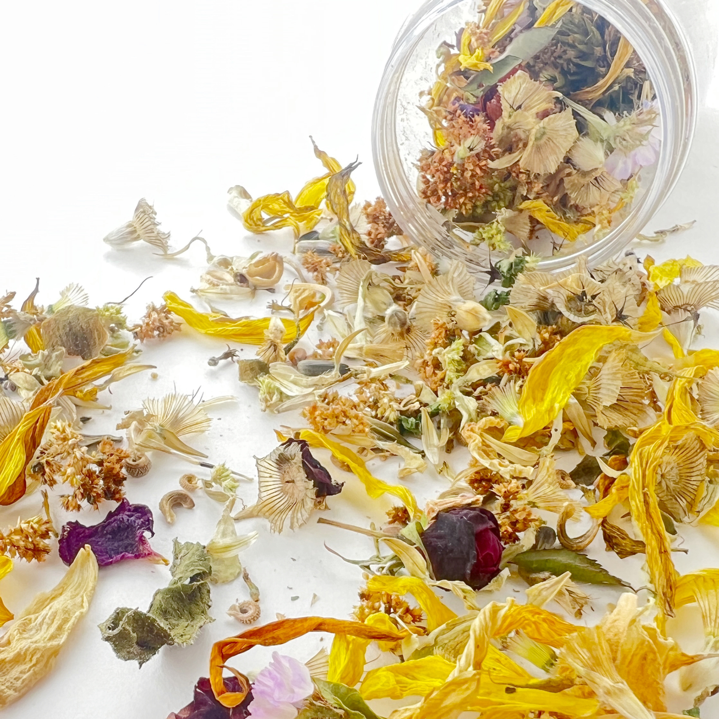Sow the Magic Wildflower Seed Confetti Sprinkles