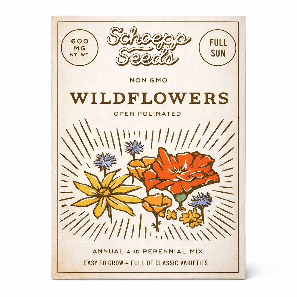 Wildflowers, Annual Garden Seed Packets, 20+ Variety Mix