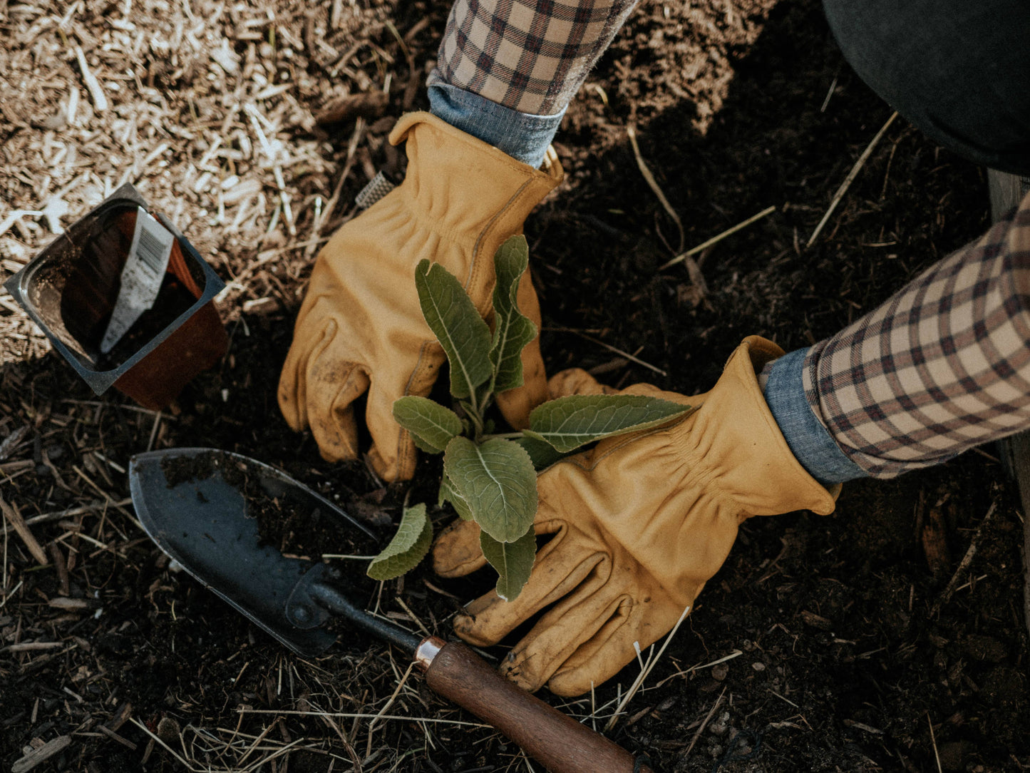Barebones Classic Work Glove, Premium Grain Cowhide